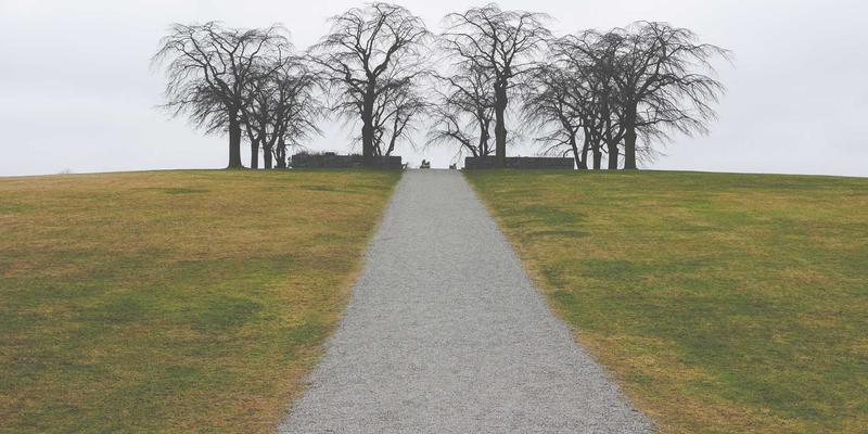 OCR识别